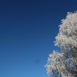 Look to the Sky