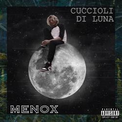 Cuccioli Di Luna