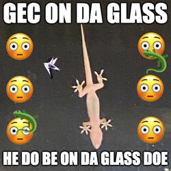 gec on da glass