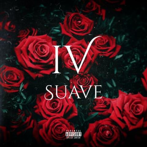 IV Suave