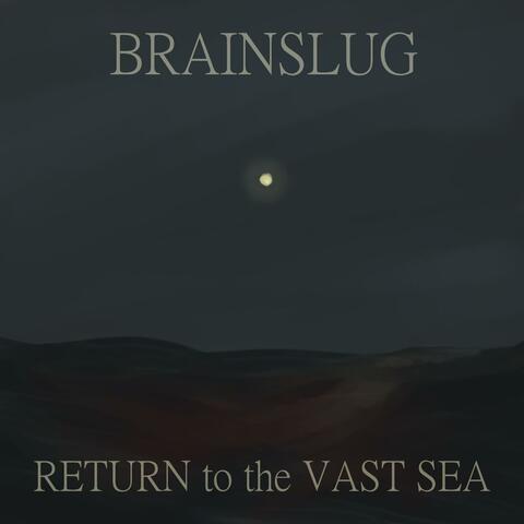 RETURN to the VAST SEA
