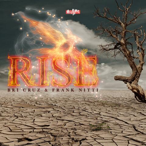 Rise (feat. Frank Nitti)