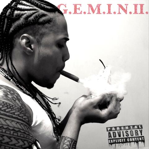 G.E.M.I.N.I