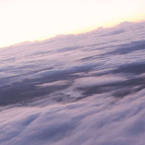 My Scattered Thoughts