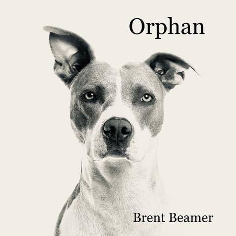 Orphan