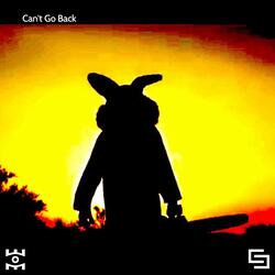 Can't Go Back