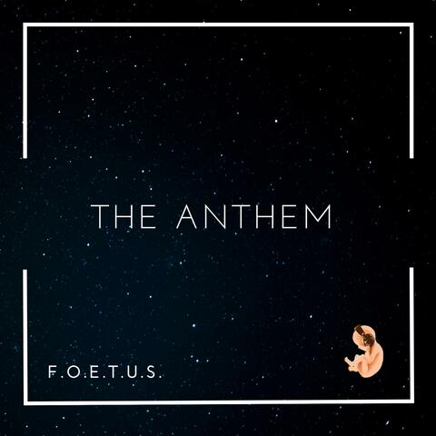 Foetus