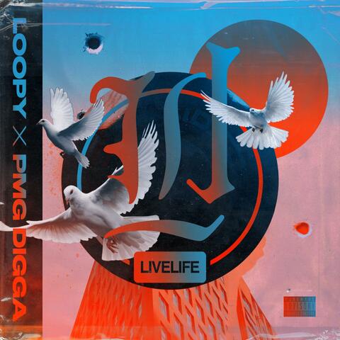 LL (feat. PMG Digga)