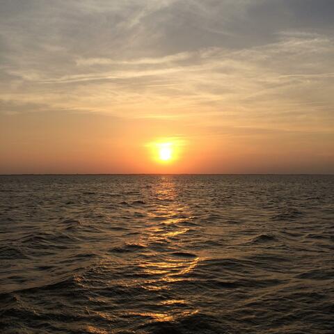 Sunsets