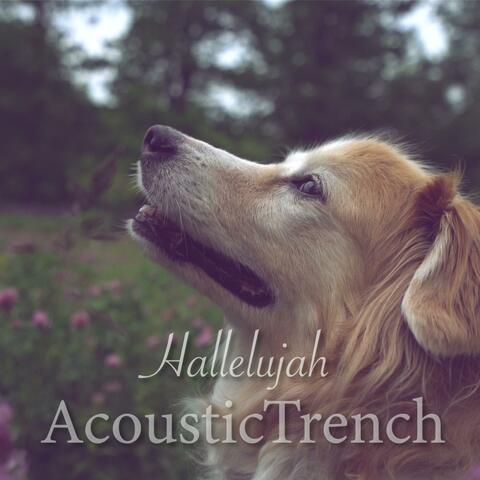 Hallelujah