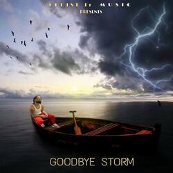 Goodbye Storm