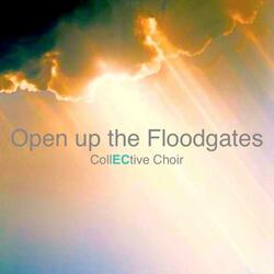 Open Up the Floodgates