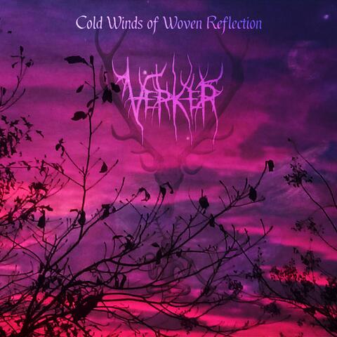 Cold Winds of Woven Reflection