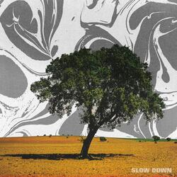 Slow Down
