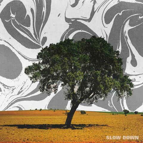 Slow Down
