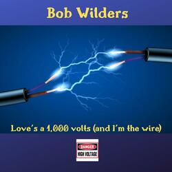 Love's a 1,000 Volts (And I'm the Wire)