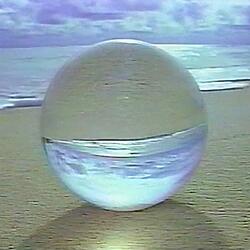 Shake (feat. Necroez)