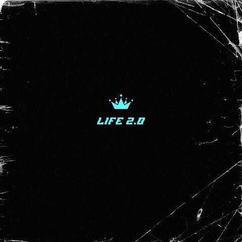 Life 2.0