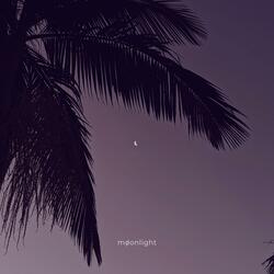 Moonlight