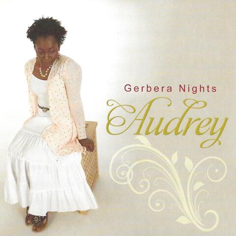 Gerbera Nights