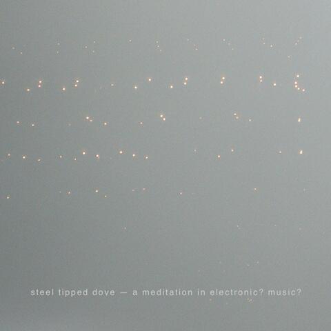 A Meditation in Electronic? Music?