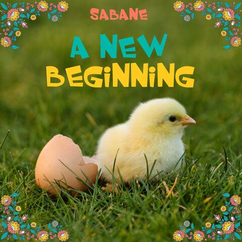 A New Beginning