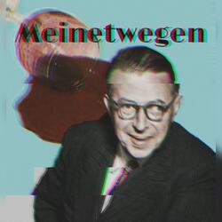 MEINETWEGEN (feat. Pro Fundo)