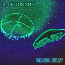 Moon Jelly (Instrumental)