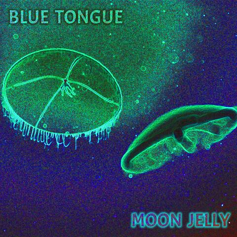 Moon Jelly (Instrumental)