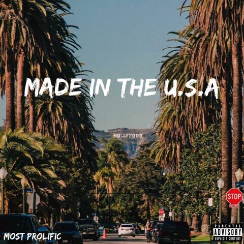 Made in the U.S.A.