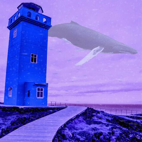 Whale in the Sky