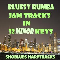 F# Minor Rumba Blues