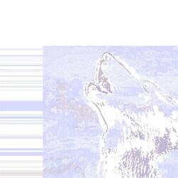 Interludio Iii (Resonancias)