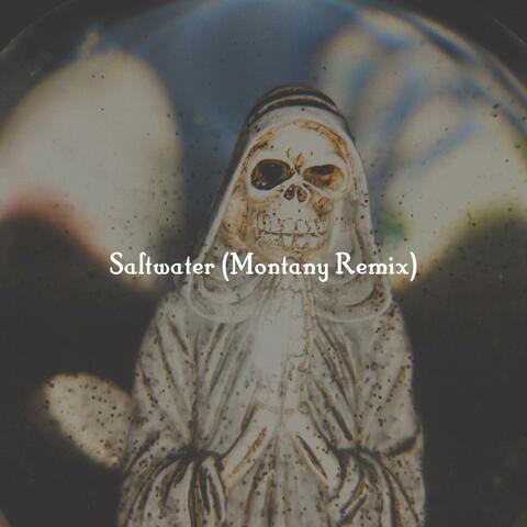 Saltwater (Montany Remix)