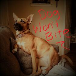 Dog Won't Bite (feat. Bob Wire)