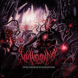 Superluminal Wormhole Divulgation