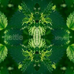 Nettle
