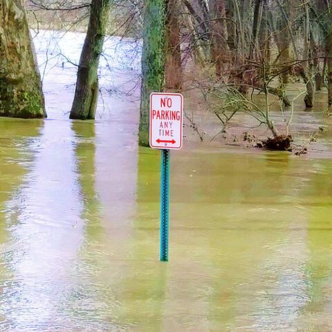 No Parking