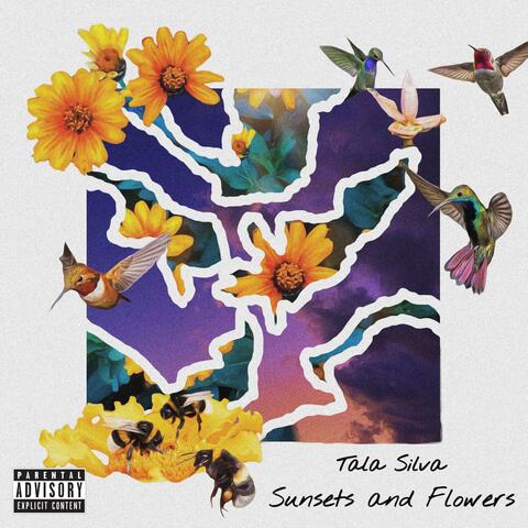 Sunsets and Flowers