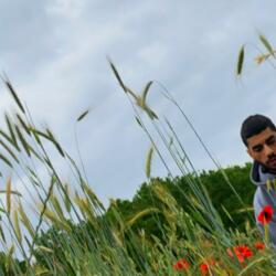 Flower Boy