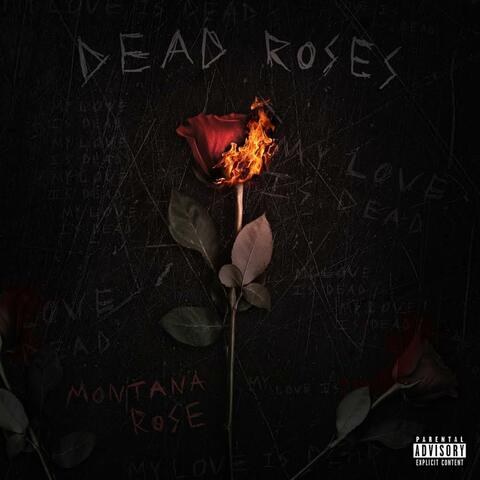 Dead Roses