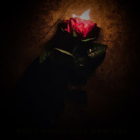 Don't Wanna Say I Want You