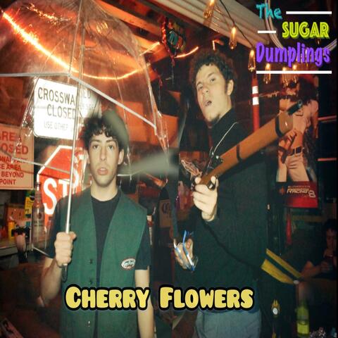 Cherry Flowers