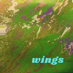 Wings