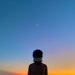 Until You Fly