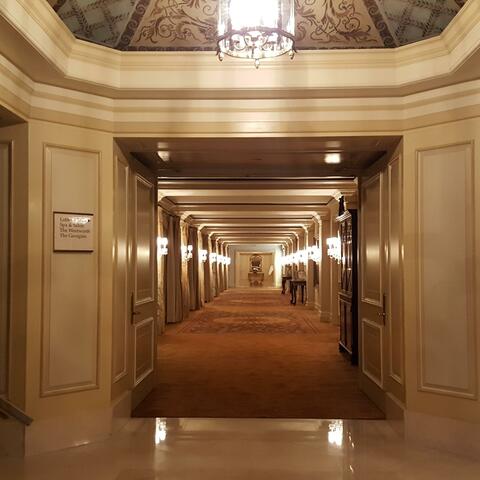 Skins of Destruction