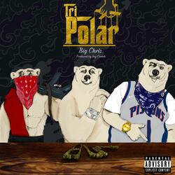 TriPolar Bears (Intro)