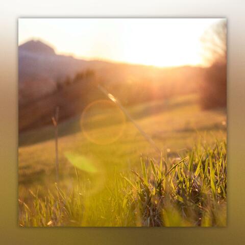 blissful sunlight (feat. Astronautilus)