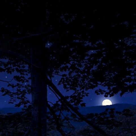 Soothing in Musings