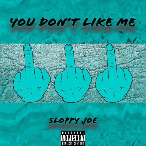 You Don't Like Me